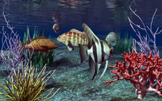 3D подводный мир