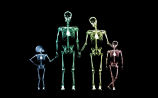 3D скелетоны