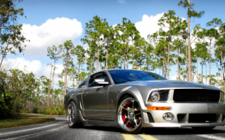 Ford-Mustang / Форд Мустанг