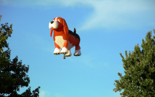 Воздушная собака