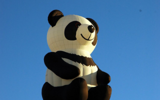 Воздушный шар панда