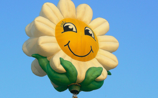 Воздушный шар цветок