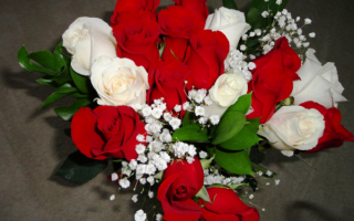 Алые и белые розы в букете