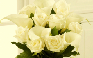 Белые розы и белые каллы в букете