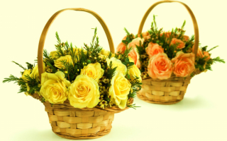 Цветы розы в корзиночках