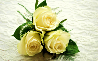 Букетик из белых роз
