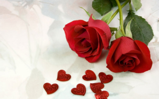 Розы для влюбленных