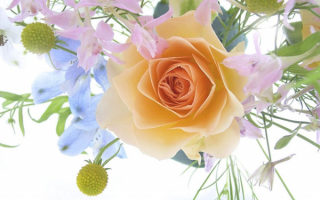 Свадебный букет роз