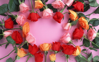 Срезанные розы