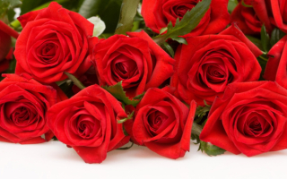Красные розы
