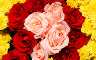 Розы и хризантемы