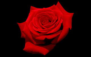 Красное и черное