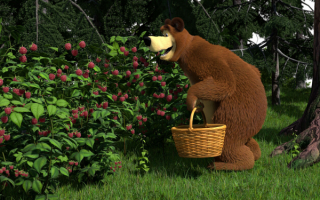 Медведь в малиннике