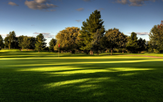 Гольф поле
