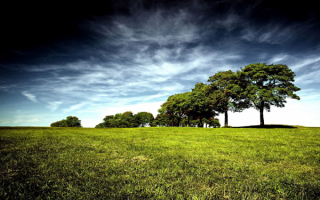 Тучи над полем