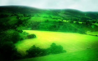 Зеленое поле