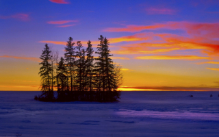 Зимнее поле