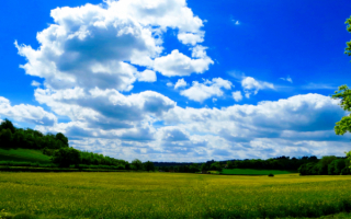 Поле среди холмов