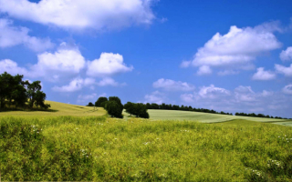 Поле на холмах