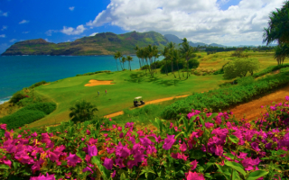 Поле для гольфа на берегу залива