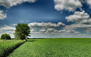 Облака над зеленым полем
