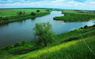 Река Дон