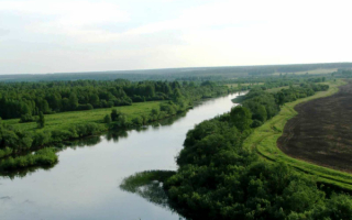 Сибирская река Яя
