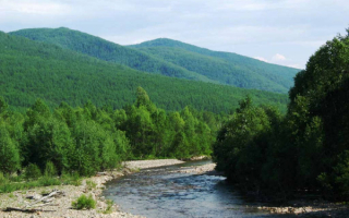 Хабаровский край. Верховье реки Ниман