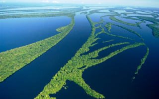 Река Амазонка
