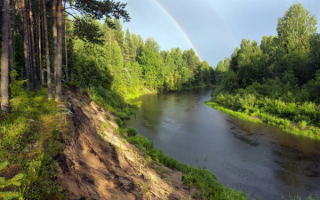 Река лес радуга