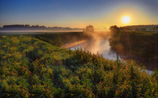 Река туман солнце утро
