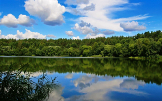 Река лес облака