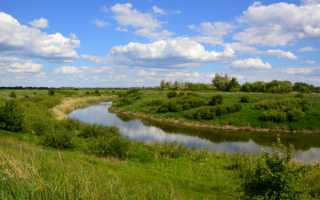 Река Сал