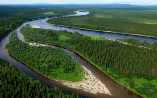 Река в зеленой тайге