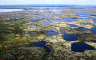 Озера тундры