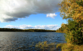 Белое озеро в Вологодской области