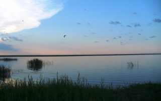 Соленое озеро Чаны в Новосибирской области
