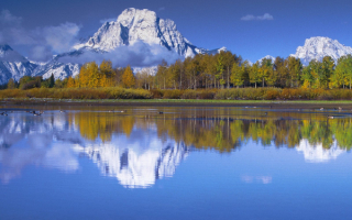 Горы в лесу