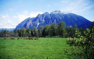 Черная гора