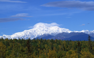 Осенний лес в горах