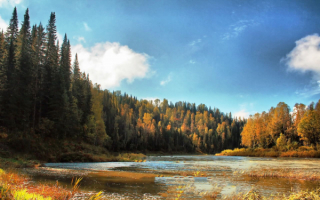 Осенний лес у реки