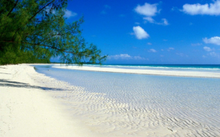Багамские острова белый берег