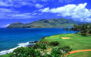 Гавайи гольф
