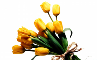 Желтые тюльпаны в букете