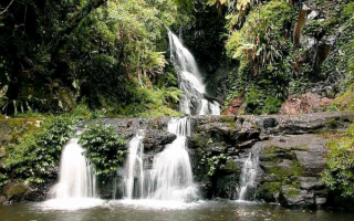 Водопад в дождевом лесу Австралии
