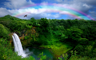 Водопад Ваилуа на Гавайских островах