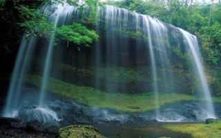 Водопад  в  лесу