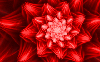 Красный цветок абстракция