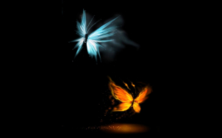 Ночные бабочки абстракция