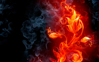 Огненный цветок  абстракция